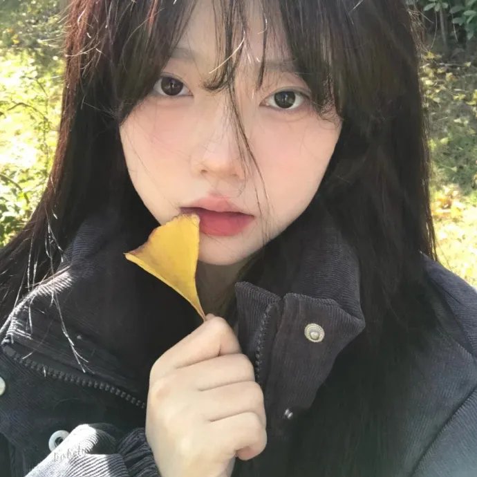 冰雪小尖兵